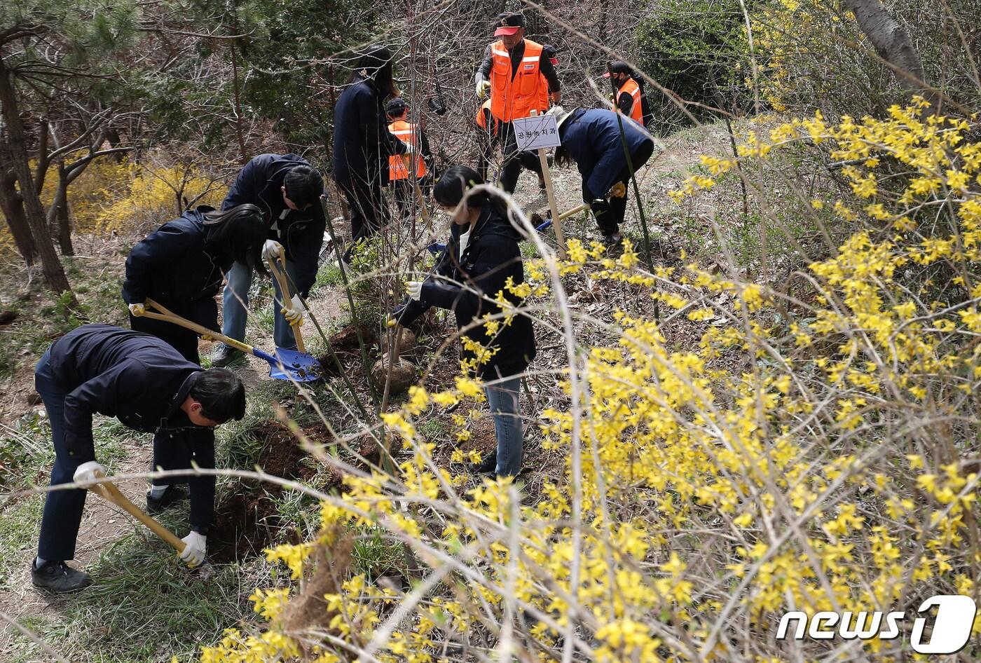 지난 3월27일 부산 부산진구 백양산 용골 일원에서 열린 제79회 식목일 기념 나무심기 행사에서 참석자들이 나무를 심고 있다. &#40;자료사진&#41; 2024.3.27/뉴스1 ⓒ News1 윤일지 기자