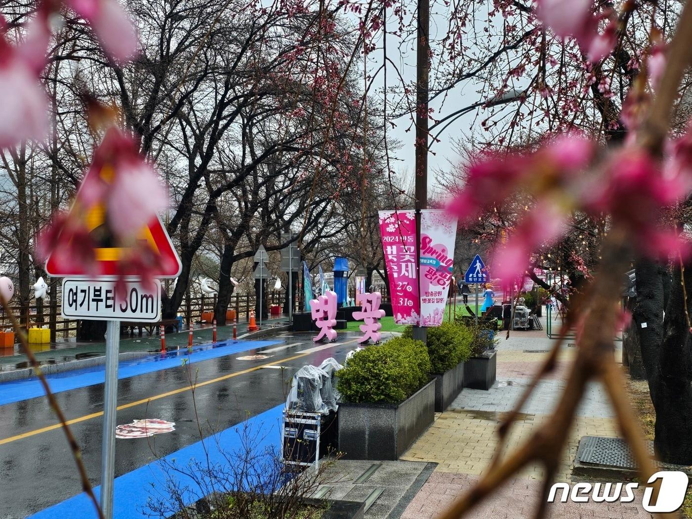 경북 안동시는 28일 &#39;안동에서 꿈꾸는 인생 사계&#39;라는 테마로 &#39;평생학습축제·락페스티벌·벚꽃축제&#39;를  개막했다. 사진은 안동 벚꽃 거리. 2024.3.28/뉴스1 신성훈 기자