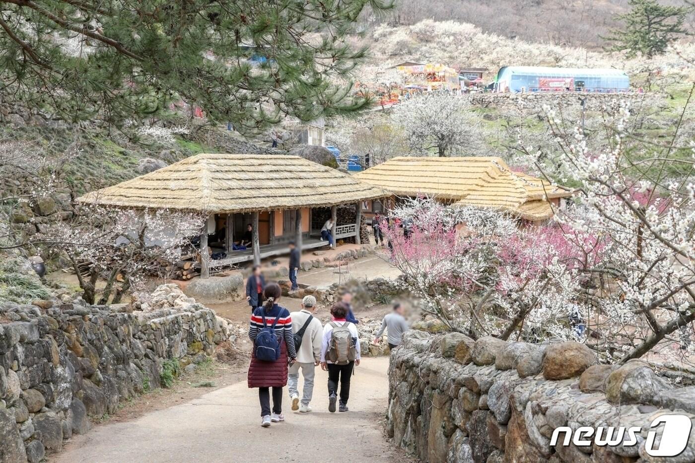 8일 오후 2시, 제23회 광양매화축제가 매화문화관 앞 주무대에서 화려한 개막식과 함께 열흘간의 대장정에 올랐다&#40;광양시 제공&#41;2024.3.8/ 