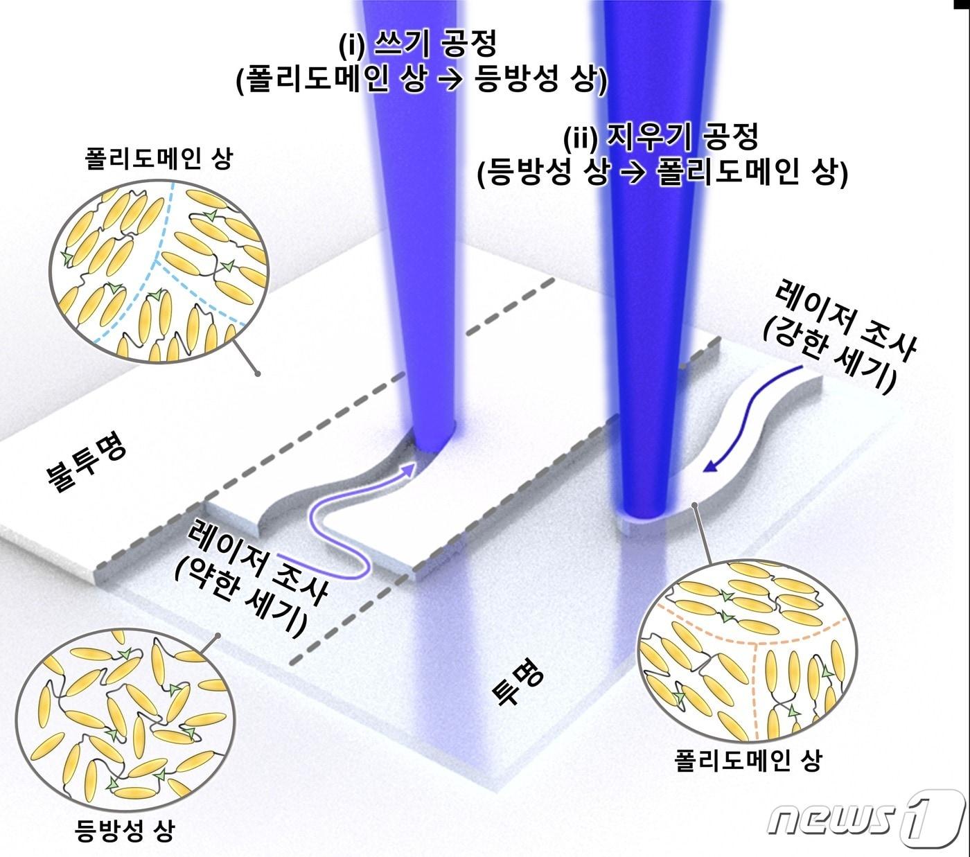 레이저를 활용한 액정탄성체의 위상 패턴 제작. &#40;서울대 제공&#41;/뉴스1