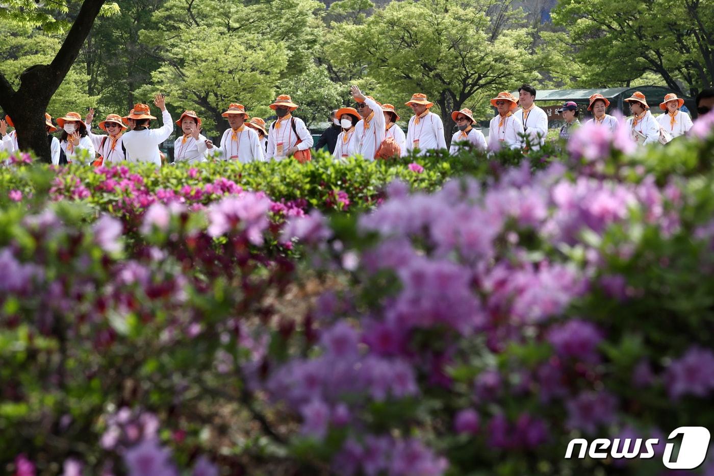 걷기행사 장면 &#40;자료사진&#41;/뉴스1 