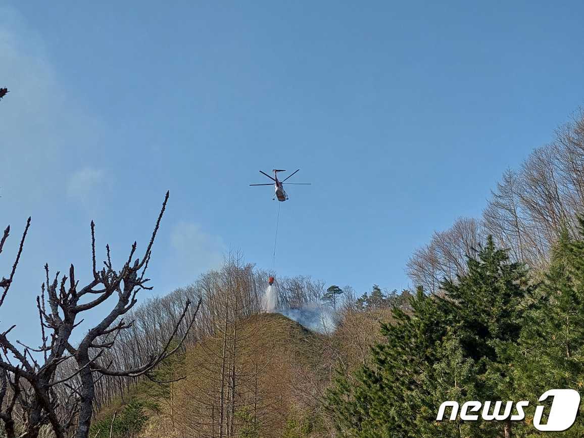 강원 삼척 하장면 번천리 산불 현장.&#40;강원도소방본부 제공&#41;