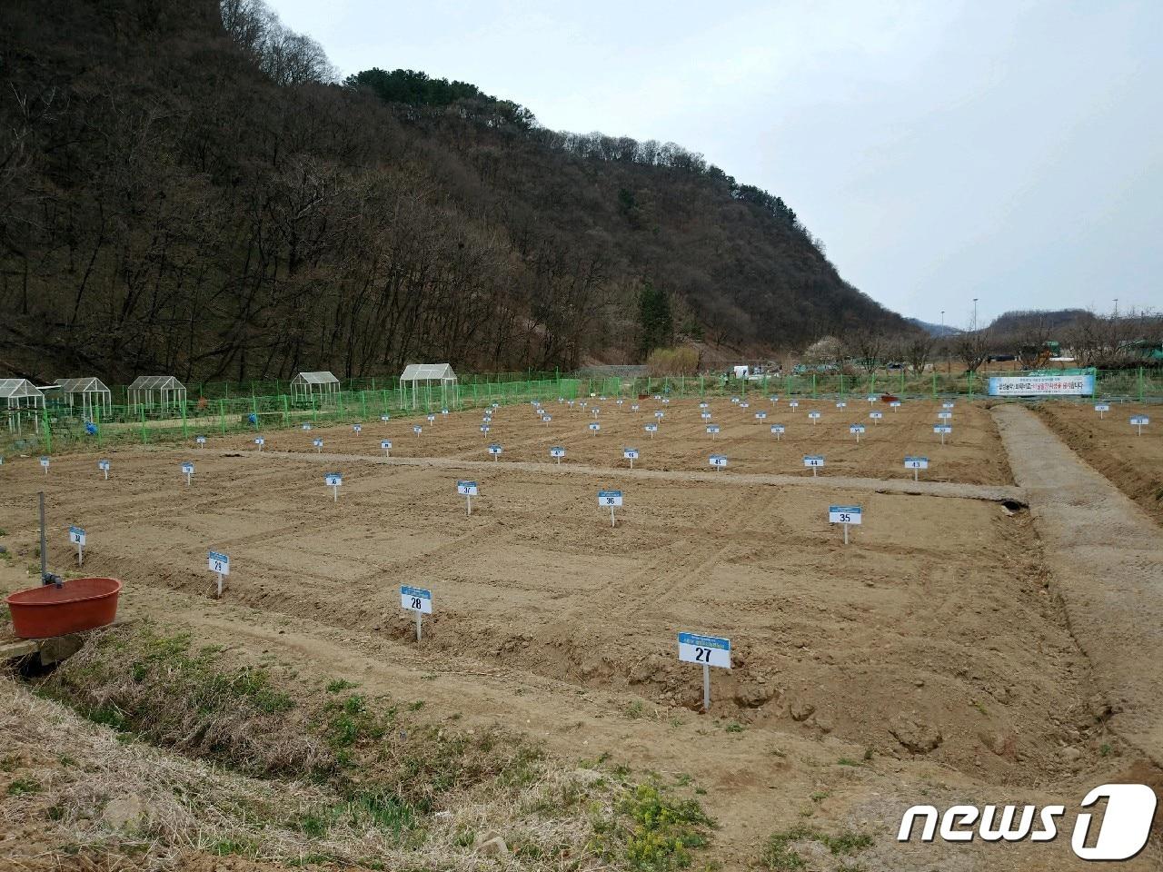 대구 수성구 천을산농장 모습. 팔현 공영도시농업농장은 조성 중으로 오는 22일까지 분양자를 모집한다. &#40;대구 수성구 제공&#41;