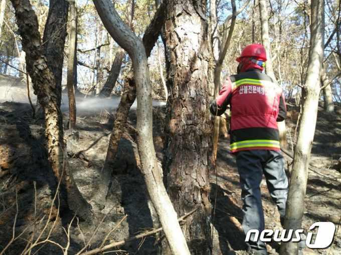 14일 낮 1시27분쯤 충북 진천군 덕산읍 석장리의 한 야산에서 원인을 알 수 없는 불이 나 20여분 만에 꺼졌다.&#40;산림청 제공&#41;./뉴스1