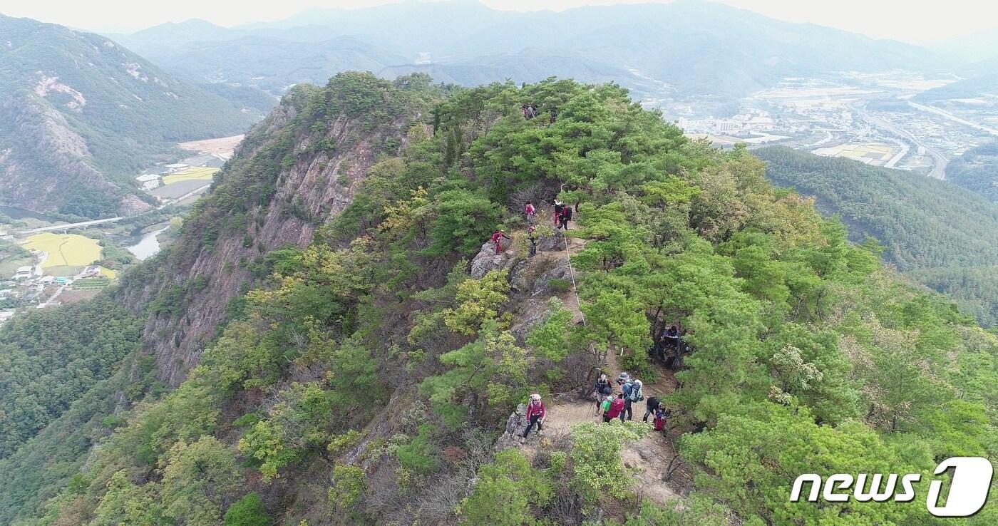 영동군 황간면 소재 월류봉 등산로 모습 &#40;영동군 제공&#41; /뉴스1 