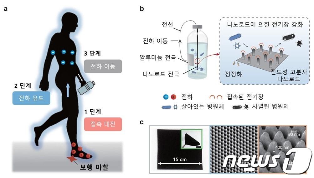 인체 정전기와 전도성 고분자 나노로드를 활용한 병원체 제어 매커니즘. &#40;연세대 제공&#41;/뉴스1