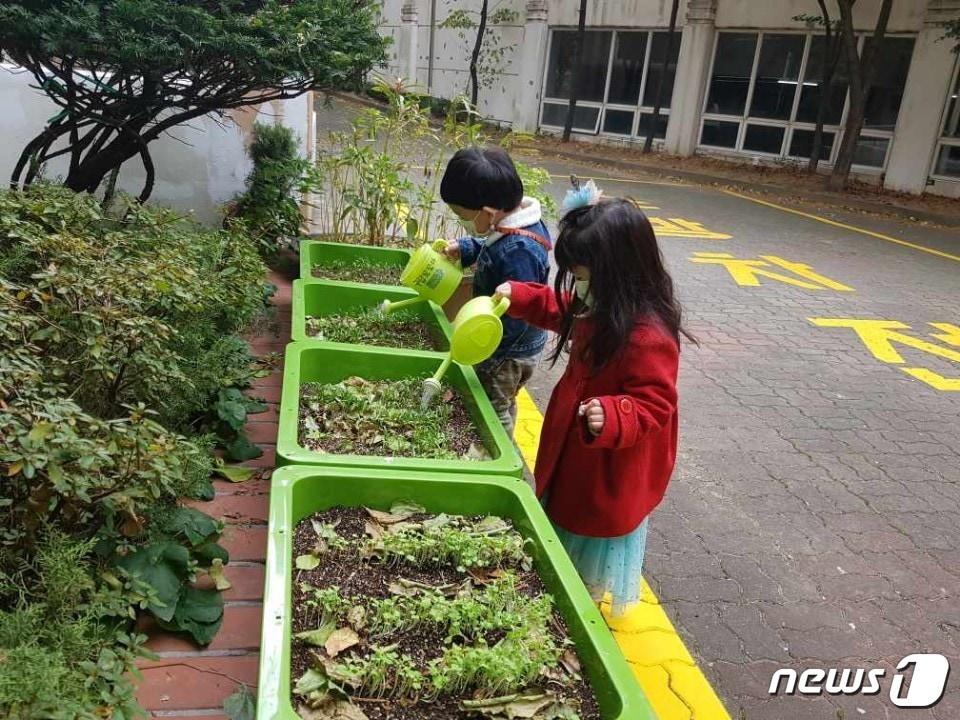 친황경 상자텃밭을 운영 중인 모습.&#40;관악구청 제공&#41;