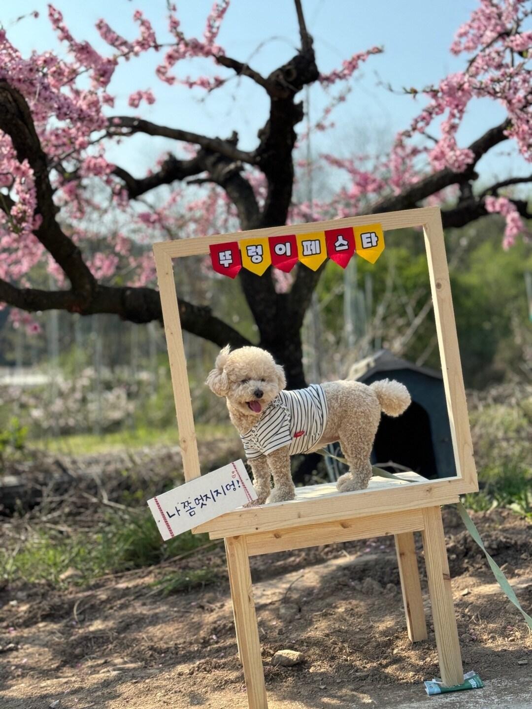 &#40;플라이투게더 제공&#41;