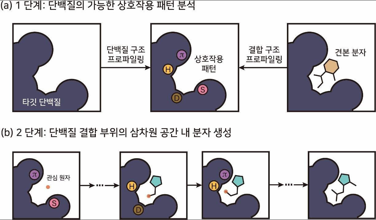 카이스트 연구진이 개발한 단백질-분자 상호작용 패턴 기반 3차원 생성형 AI의 개념도.&#40;KAIST 제공&#41;/뉴스1