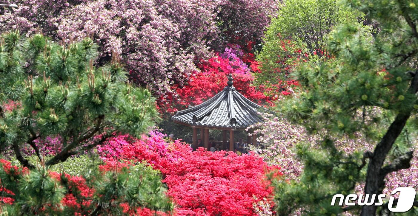 18일 전북자치도 전주시 완산공원 꽃동산에서 꽃구경을 나온 상춘객들이 정자에 앉아 봄기운을 만끽하고 있다. 2024.4.18/뉴스1 ⓒ News1 유경석 기자