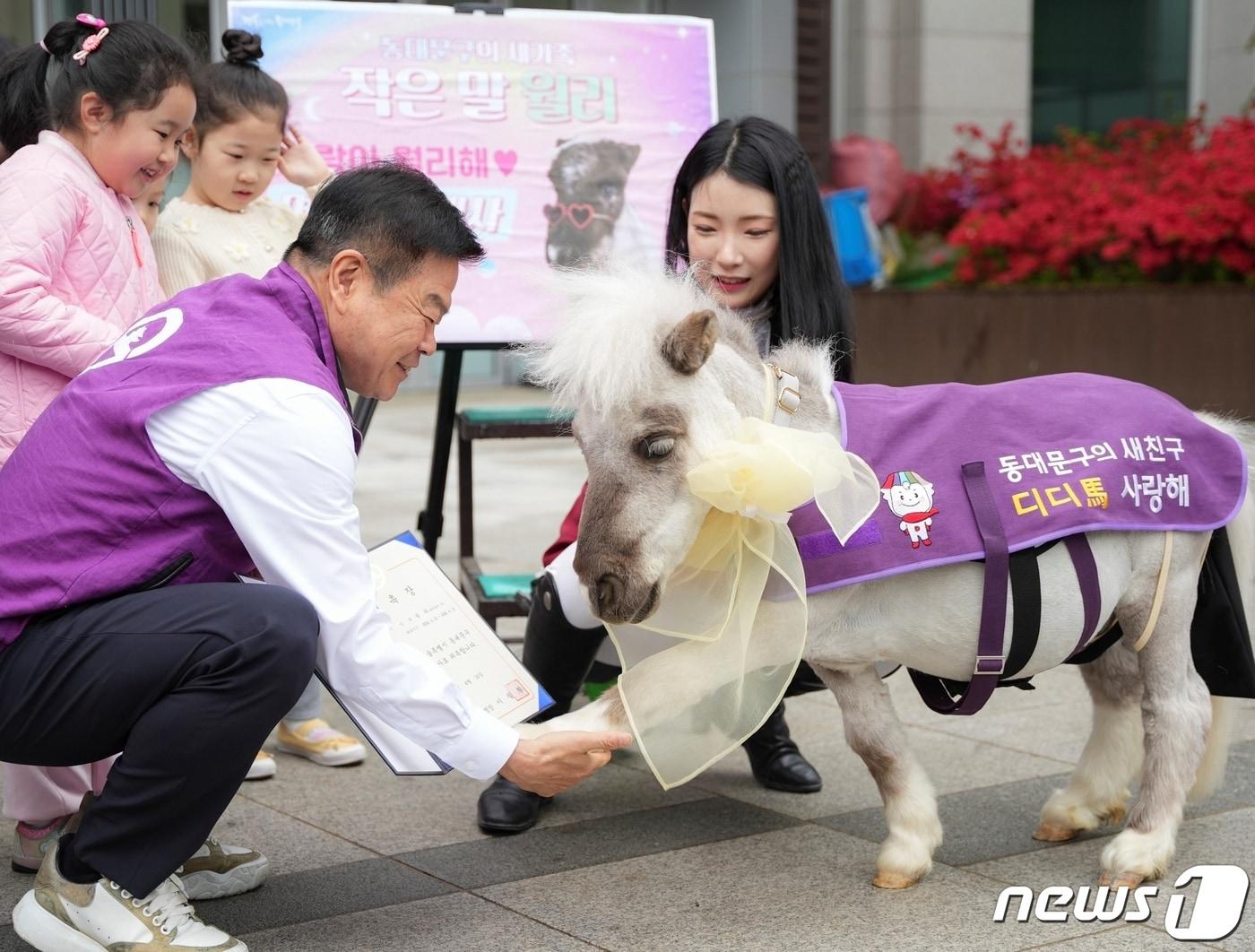 이필형 동대문구청장이 16일 명예 홍보대사로 위촉된 작은말 월리와 교감하고 있다&#40;월리테라피 제공&#41;. ⓒ 뉴스1