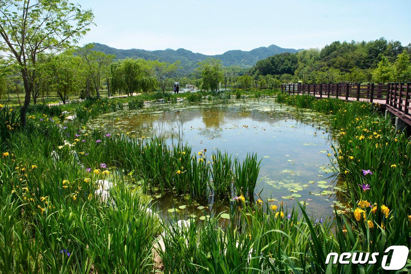 거창창포원&#40;거창군 제공&#41;.