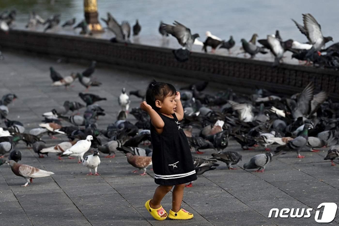 조류독감 ⓒ AFP=뉴스1