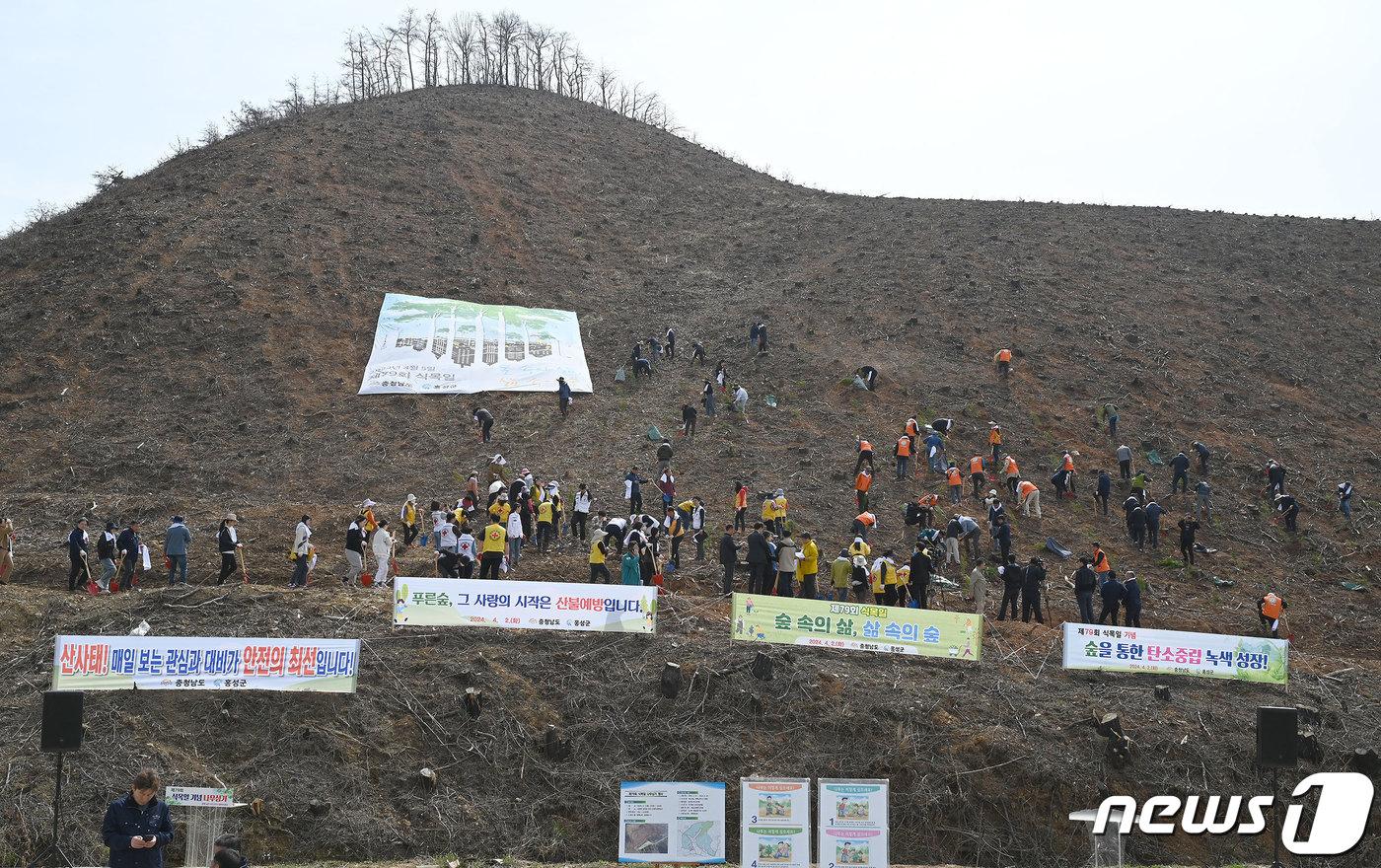 홍성군 직원들이 2일 지난해 4월 2일 오전 홍성산불이 발생한 서부면의 양곡리 양곡사 일원에서 나무를 식재하고 있다. &#40;홍성군 제공&#41;/뉴스1