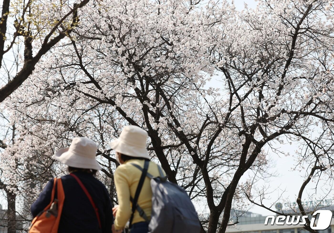 서울 한낮 최대 기온이 23도까지 오르는 등 따뜻한 날씨를 보인 2일 오후 서울 중구 정동길에서 시민들이 걸어가고 있다. 2024.4.2/뉴스1 ⓒ News1 김민지 기자