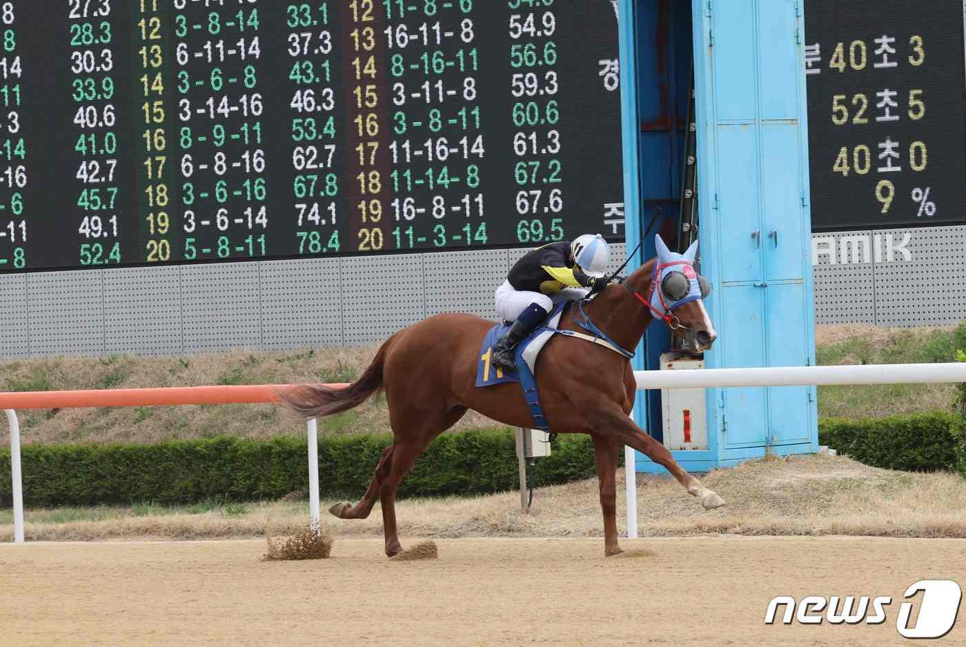 지난달 31일 열린 ‘제5회 루나스테이크스’ 대회에서 우승한 문세영 기수의 이클립스베리’&#40;렛츠런파크 부산경남 제공&#41;