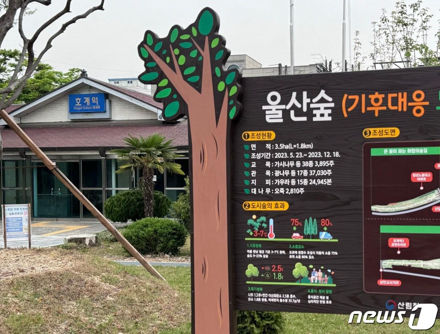 폐쇄된 울산 북구 호계역 동해남부선 폐선부지에 조성된 기후대응도시숲 &#39;울산숲&#39;의 모습이다. 2024.4.21/뉴스1 ⓒ News1 김세은 기자