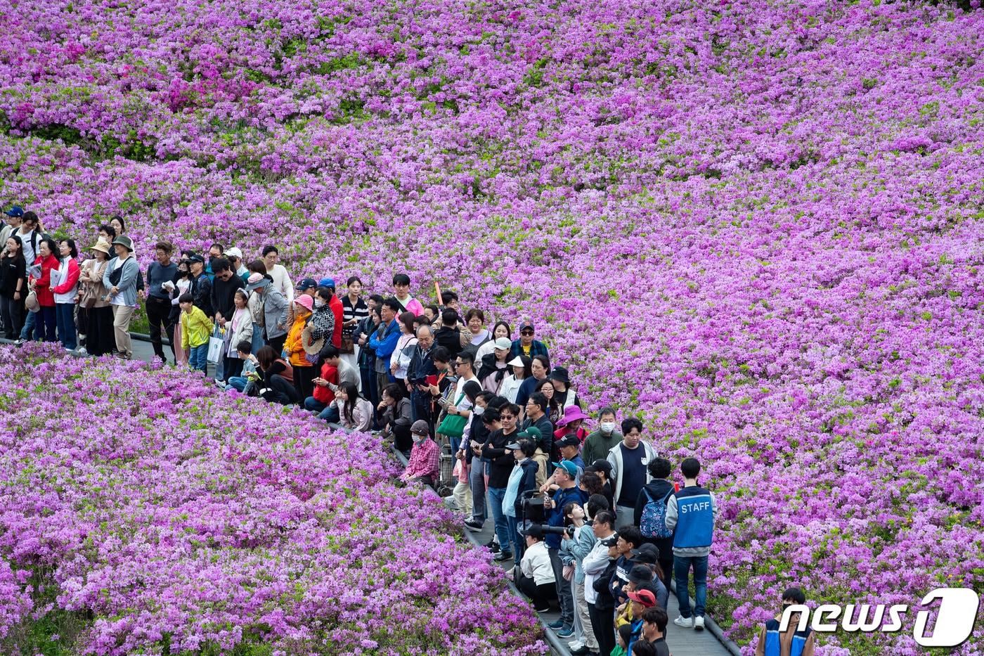 21일 서울 노원구 2024 불암산 철쭉제를 찾은 시민들이 불암산 힐링타운 일대에 조성된 철쭉동산에서 봄을 만끽하고 있다. 2024.4.21/뉴스1 ⓒ News1 유승관 기자