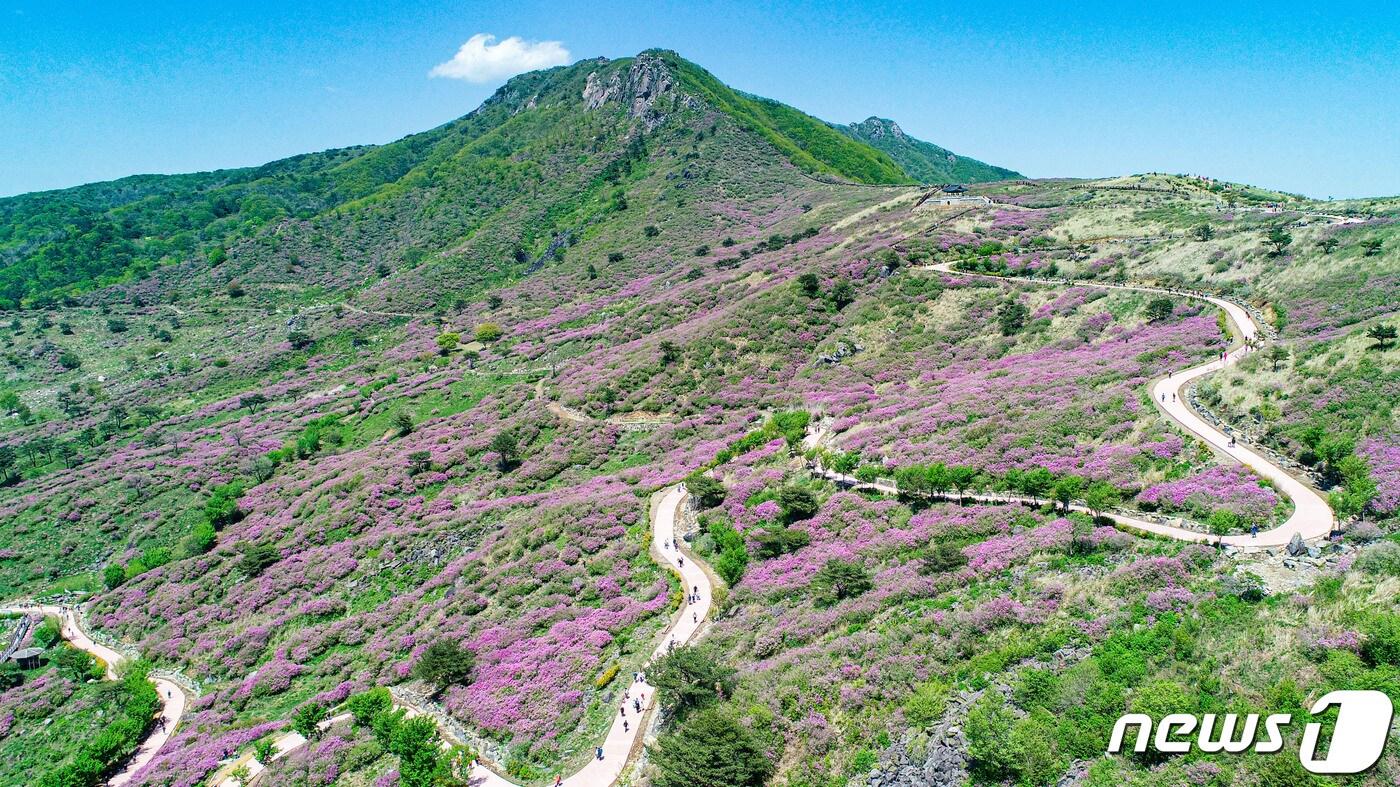 산청 황매산&#40;산청군 제공&#41;.