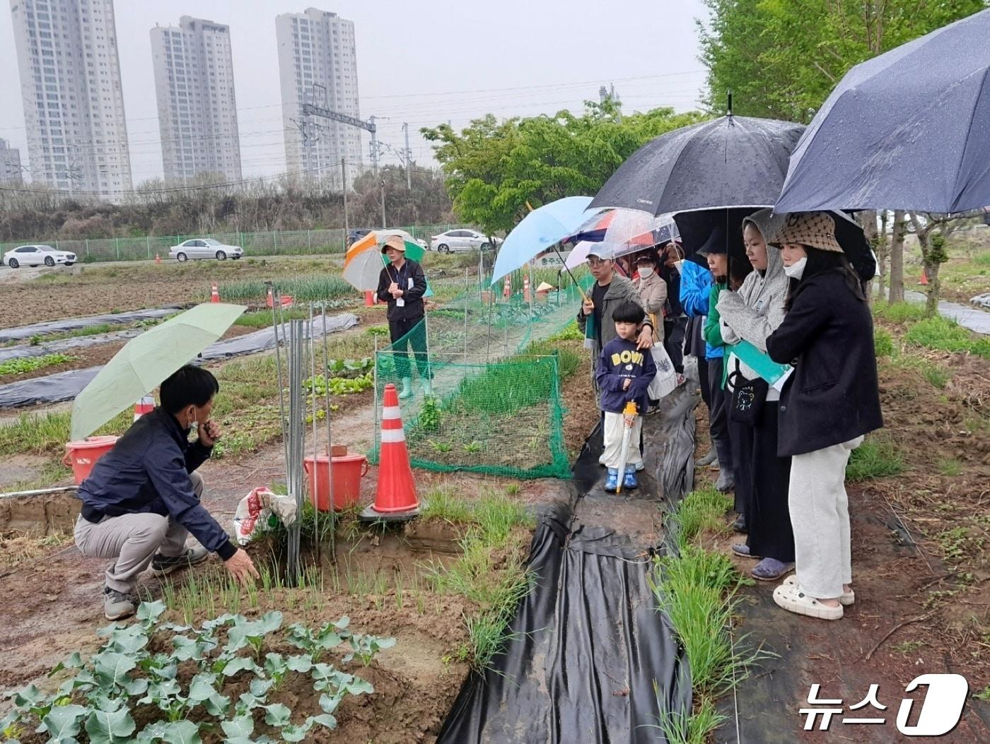 22일 충북  K충주톡도시텃밭공동체는 올해도 도시텃밭을 분양해 도시농부를 육성한다고 밝혔다. 사진은 충주농협 관계자의 기술지도 모습.&#40;독자 제공&#41;2024.4.22/뉴스1