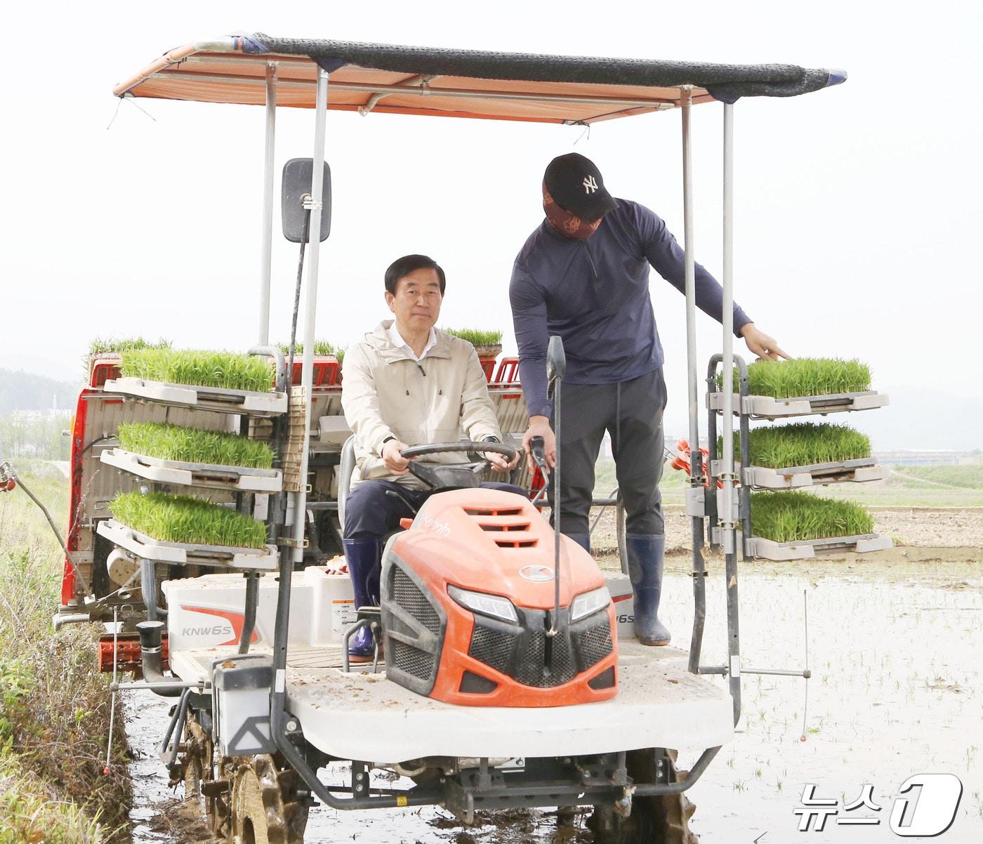  26일 조길형 충북 충주시장이 주덕읍 화곡리 서강석 씨 논에서 이앙기를 직접 몰며 올해 첫 모내기를 하고 있다.&#40;충주시 제공&#41;2024.4.26/뉴스1