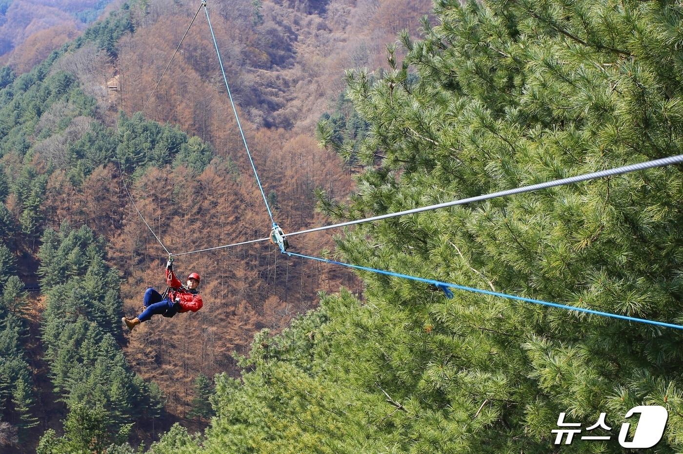 가평 브릿지집라인은 코스별로 다양한 매력을 즐길 수 있다&#40;한국관광공사 제공&#41;