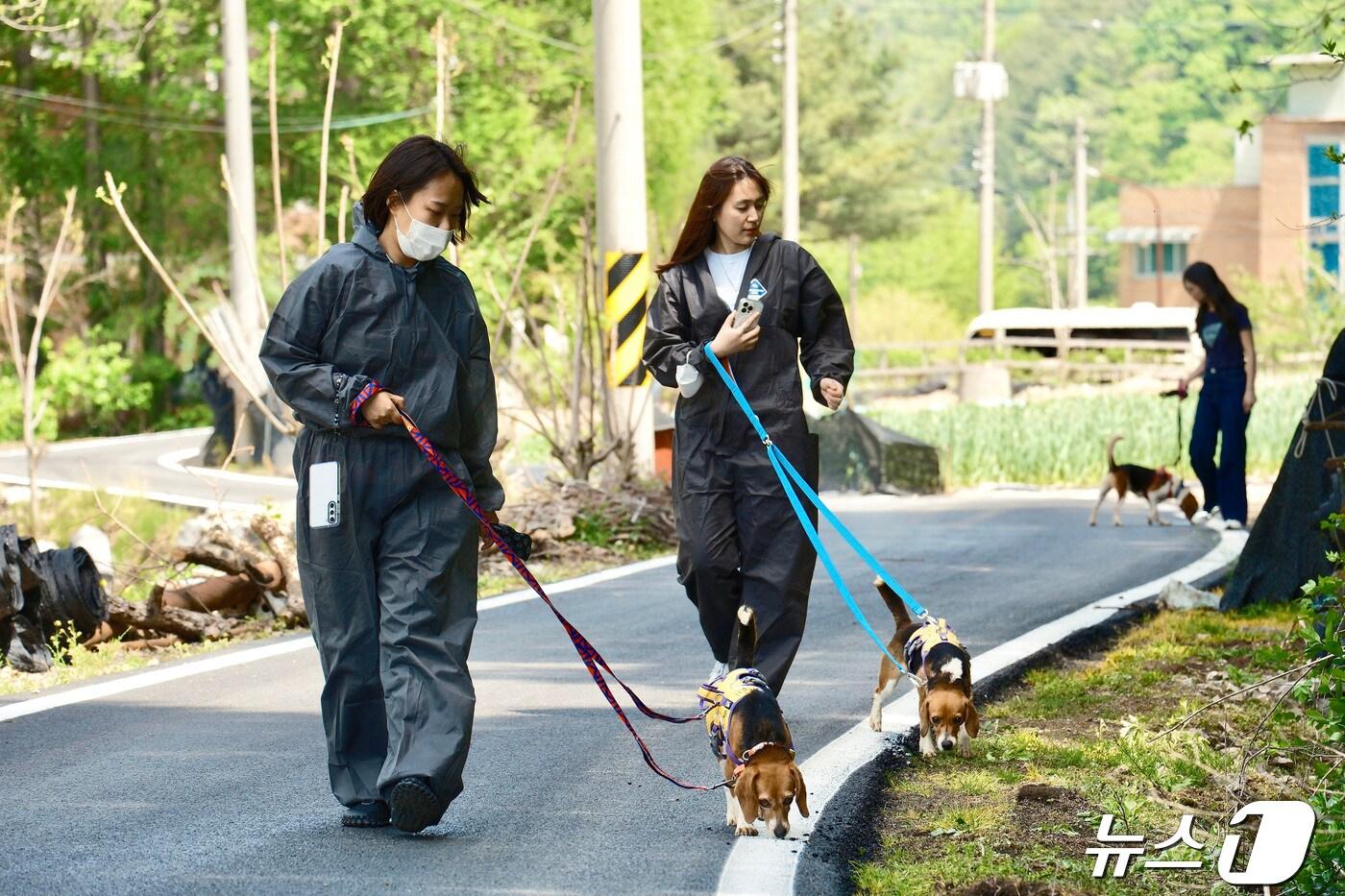 비글구조네트워크 논산센터에서 한진 직원이 강아지 산책 봉사활동을 하고 있다.&#40;한진 제공&#41; ⓒ News1 김민석 기자