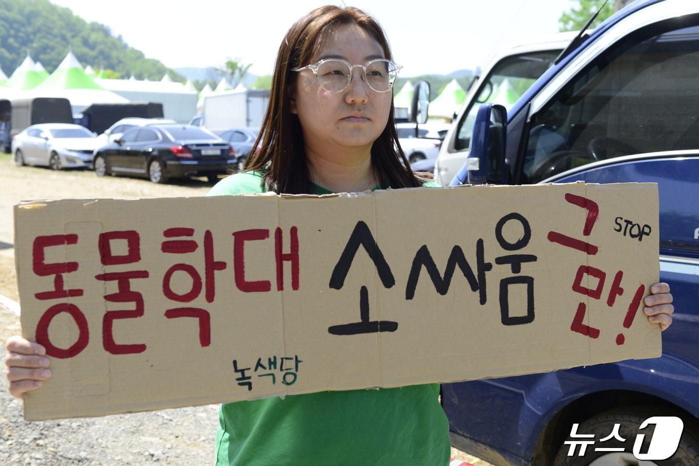 27일 대구 달성군 논공읍 달성강변야구장 옆 하천 부지 인근에서 &#39;소 힘겨루기 대회&#39;가 열린 가운데 녹색당 대구시당이 &#39;동물학대 소싸움 그만&#39;이라는 피켓을 들고 행사 반대를 하고 있다. 2024.4.27/뉴스1 ⓒ News1 이성덕 기자