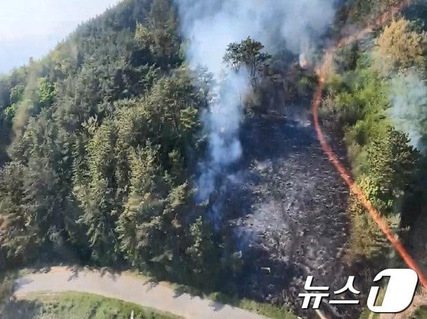  27일 오후 3시 39분쯤 부산 해운대구 반송동 장산 억새밭 일원에서 불이 나 소방이 화재 진화에 나서고 있다.&#40;산림청 중앙산불방지대책본부 제공&#41; 