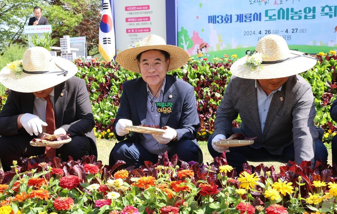 이응우 계룡시장&#40;가운데&#41;이 ‘제3회 도시농업 축제’에서 상추를 수확하고 있다. &#40;계룡시 제공&#41; /뉴스1