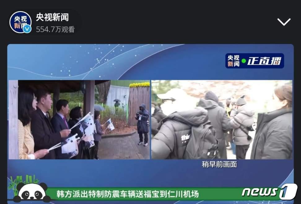 중국 CCTV가 SNS 계정을 통해 푸바오의 환송 행사를 생중계하고 있다.