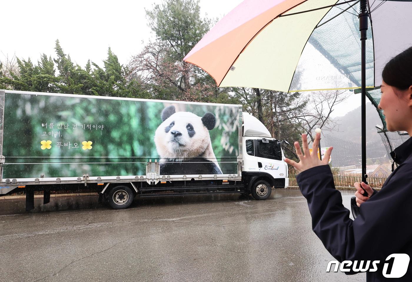 3일 오전 경기 용인시 에버랜드에서 직원들이 중국으로 가는 자이언트 판다 &#39;푸바오&#39;를 실은 특수차량을 보며 배웅하고 있다. 2024.4.3/뉴스1 ⓒ News1 사진공동취재단