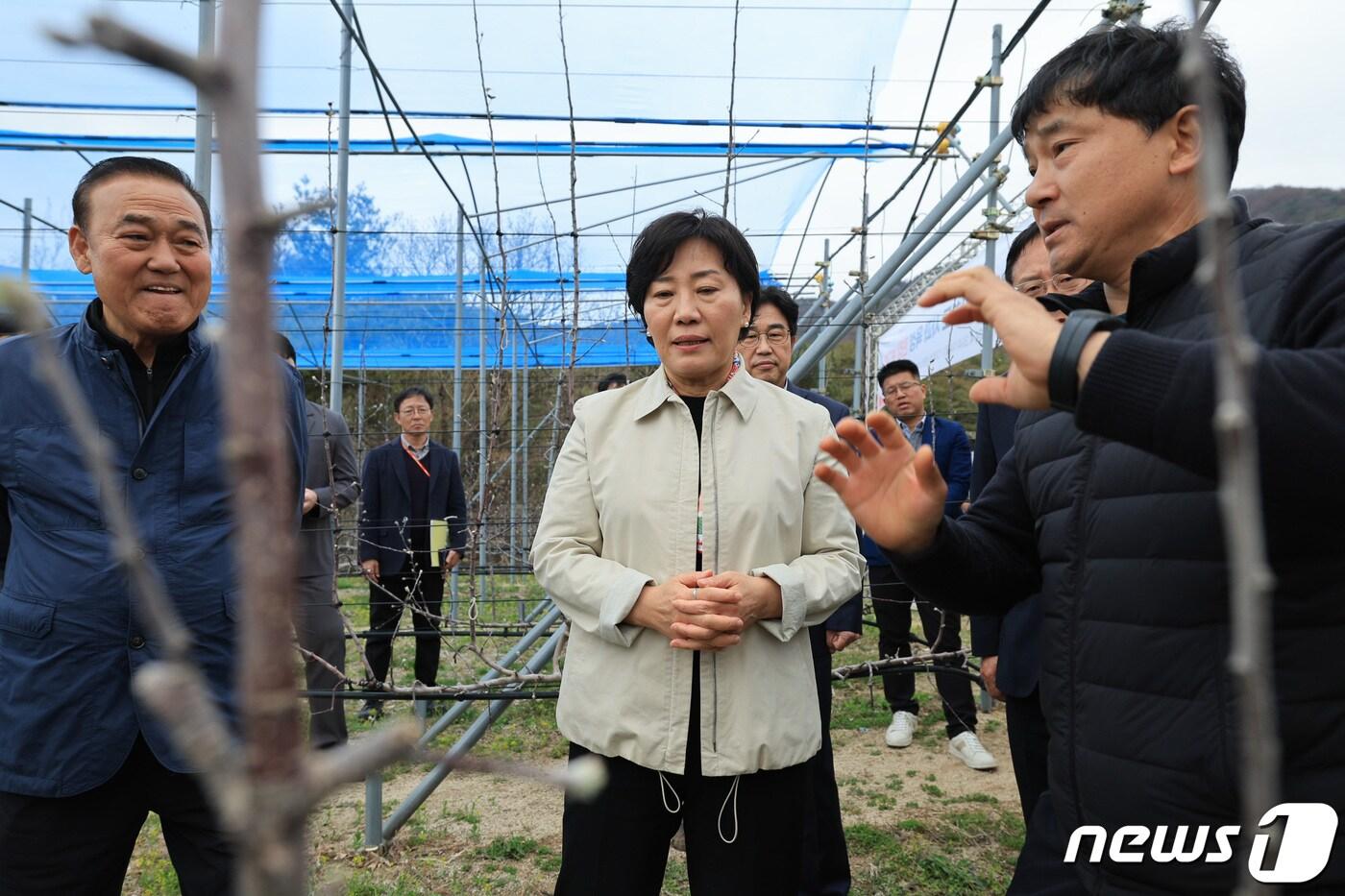 송미령 농림축산식품부 장관이 3일 강원도 춘천시의 스마트 과수원 실증단지를 방문해 관계자로부터 설명을 듣고 있다. &#40;농림축산식품부 제공&#41; 2024.4.3/뉴스1 ⓒ News1 김성진 기자