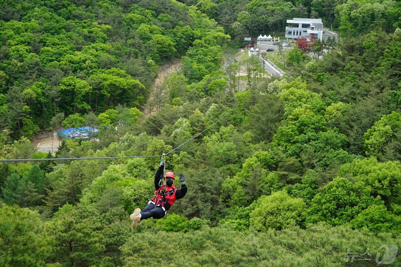 보은군 산림레포츠시설 집라인 &#40;보은군 제공&#41; /뉴스1 