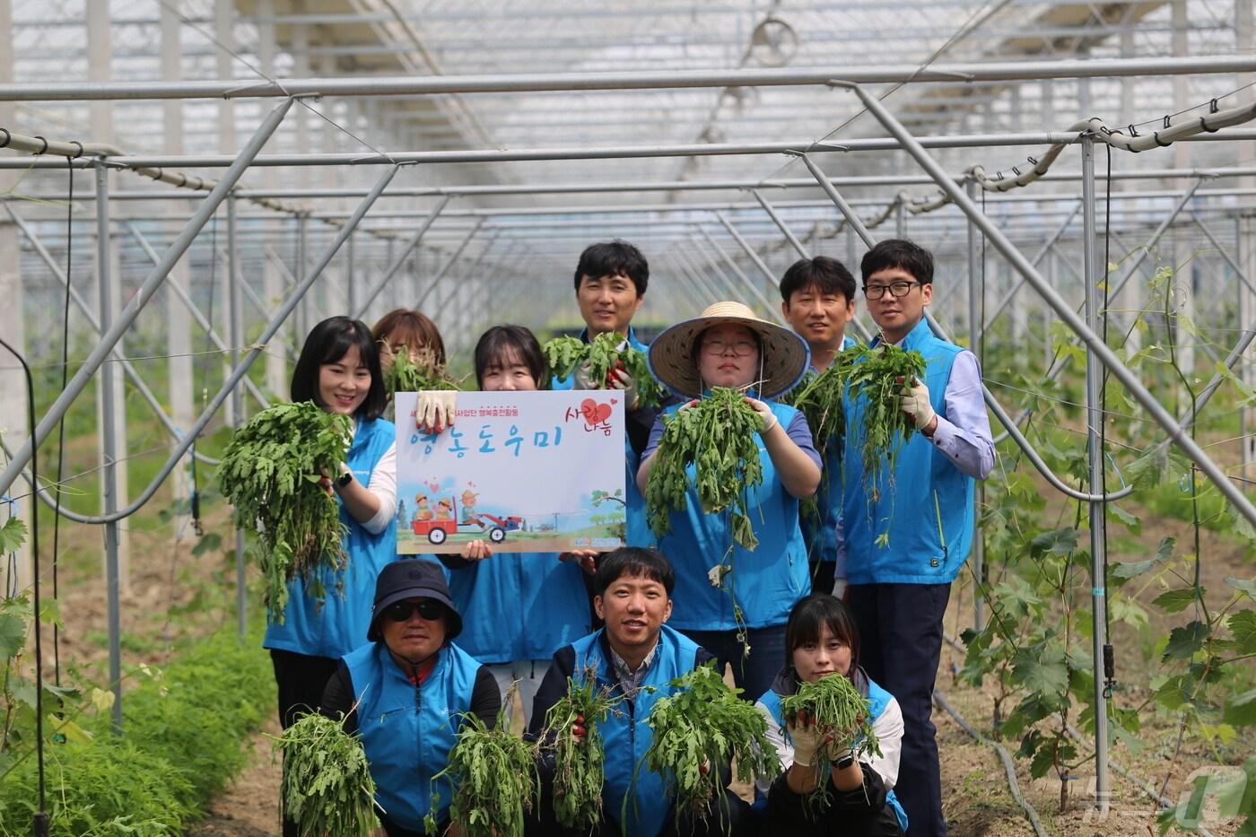 한국농어촌공사 새만금산단사업단은 30일 군산시 대야면 일손이 부족한 포도재배농가를 찾아 농촌일손돕기 봉사활동을 펼쳤다.&#40;새만근산단사업단 제공&#41; 2024.4.30/뉴스1