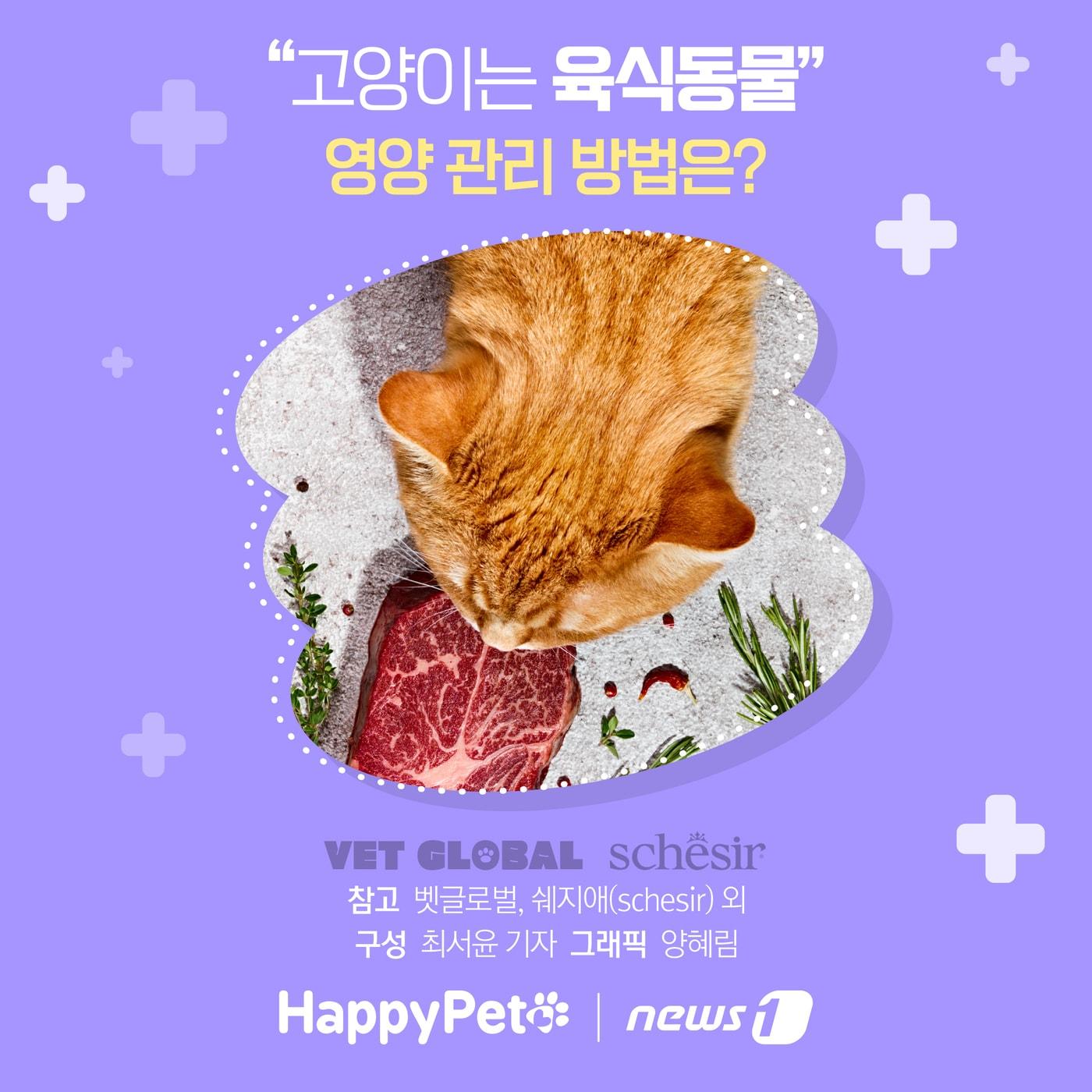 고양이는 육식동물 펫카드 ⓒ 뉴스1