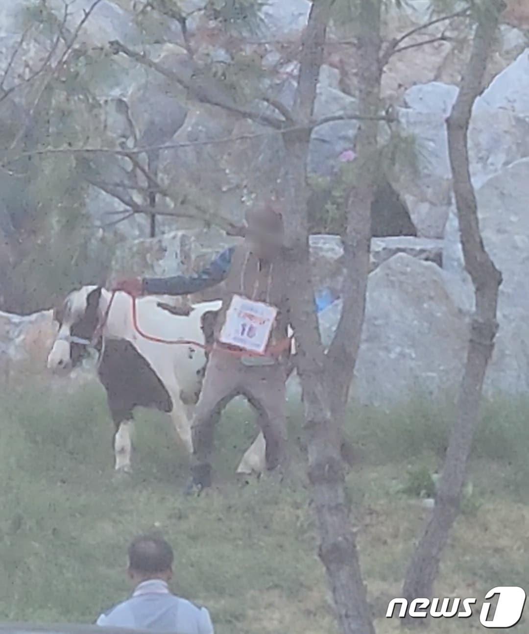 5일 오후 국가혁명당 선거운동 자원봉사자가 부산 기장군 일광읍 한 아파트 단지에서 말과 함께 이동하고 있다.&#40;독자 제공&#41;