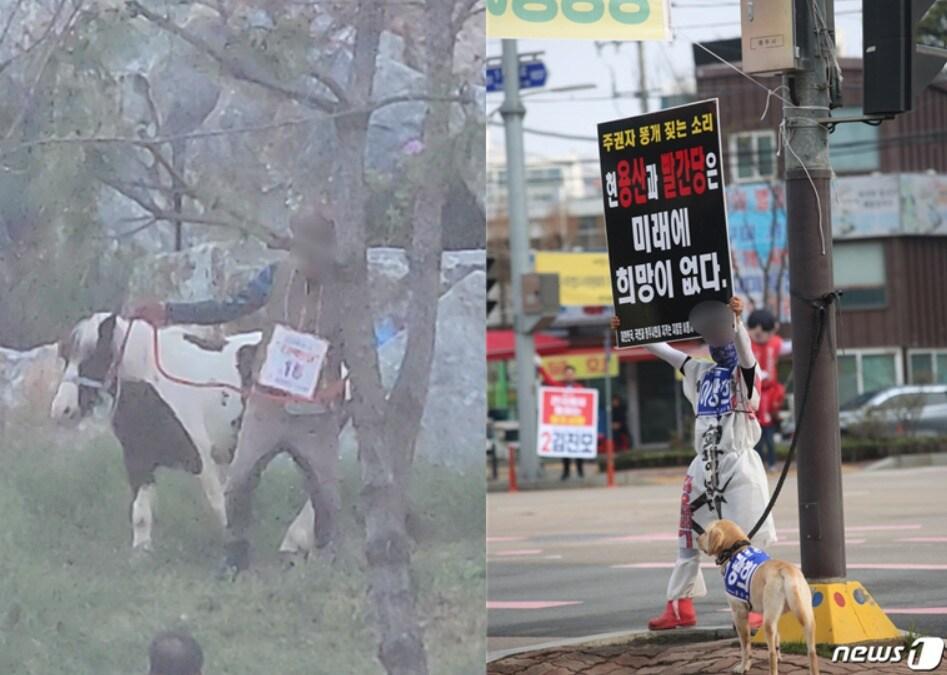 말을 끌고 다니며 선거운동을 펼친 국가혁명당 자원봉사자&#40;왼쪽&#41;와 선거띠를 두른 반려견과 함께 선거운동을 하는 시민.&#40;독자·국민의힘 충북도당 제공&#41;