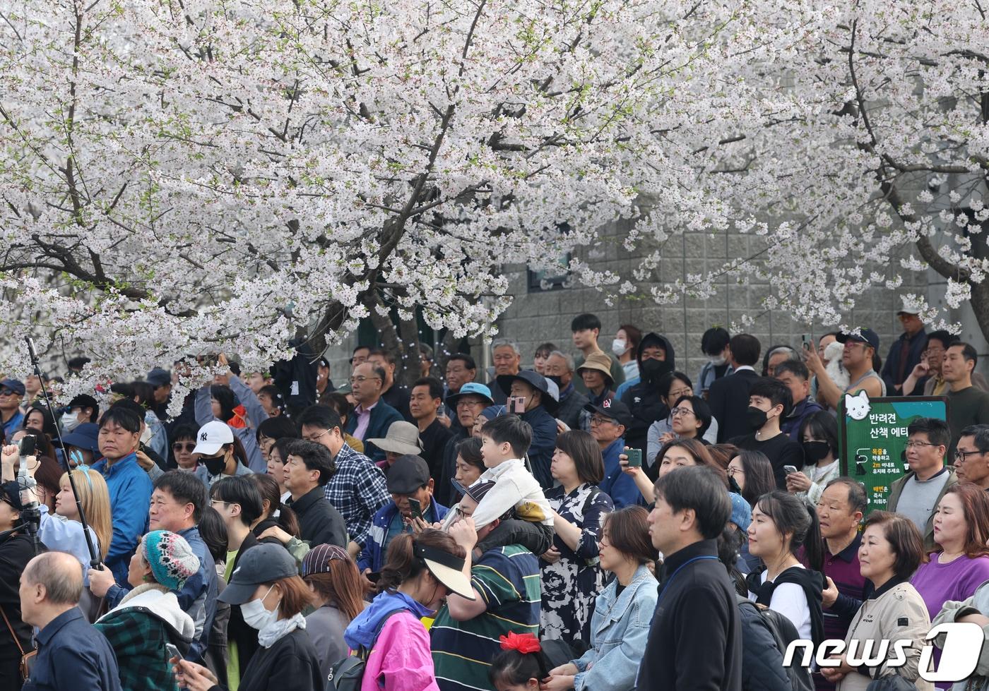 시민들이 6일 경기 양평군 양평실내탁구장 인근 주차장에서 유세를 지켜보고 있다. 2024.4.6/뉴스1 ⓒ News1 송원영 기자