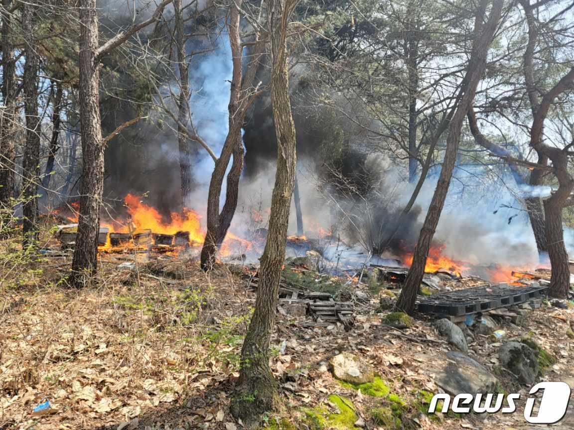 7일 오전 10시 54분쯤 충북 제천시 청풍면 교리 한 야산에서 산불이 나 40여분만에 꺼졌다. &#40;제천소방서 제공&#41; /뉴스1