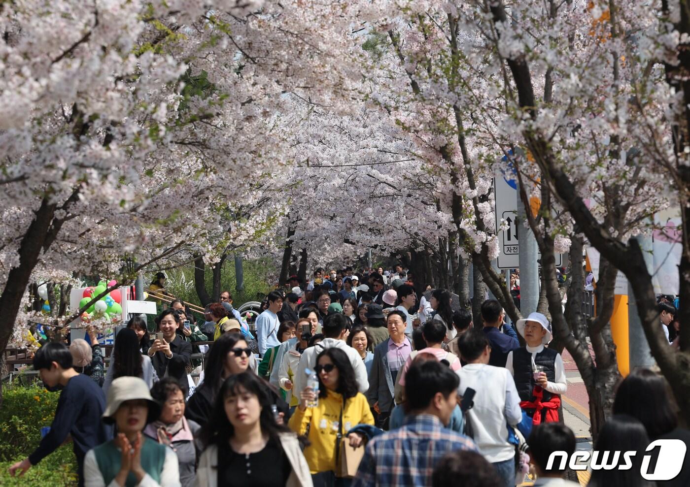 포근한 날씨를 보인 7일 서울 여의도 윤중로 벚꽃길에서 시민들이 봄나들이를 하고 있다. 2024.4.7/뉴스1 ⓒ News1 송원영 기자