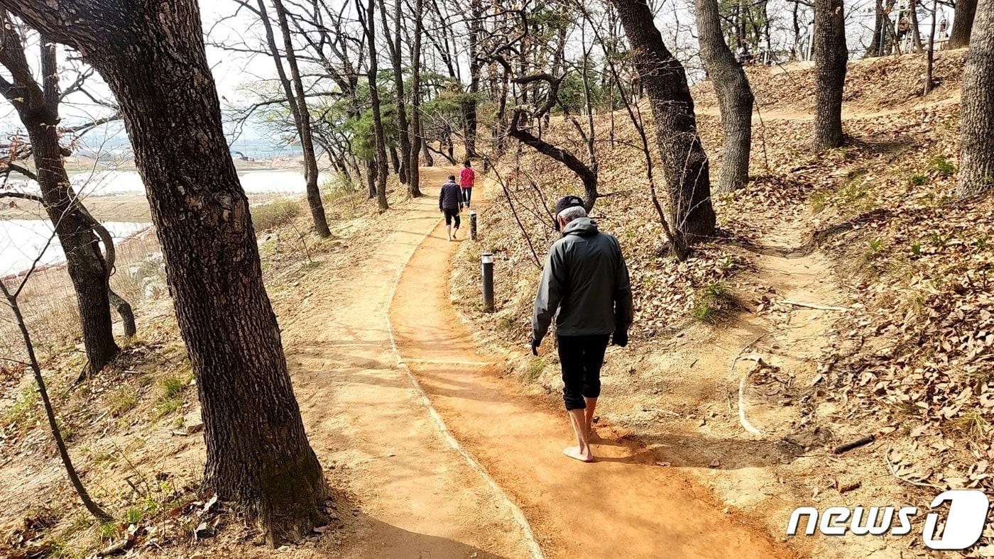 충북 충주시 호암지 맨발 산책로.&#40;충주시 제공&#41;2024.4.8/뉴스1