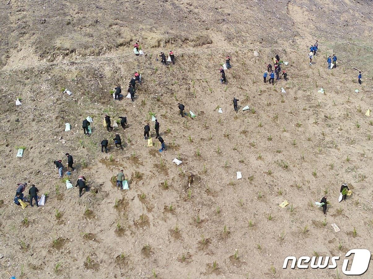 전북자치도 임실군은 오는 30일까지 봄철 조림사업을 추진한다.&#40;임실군제공&#41;2024.4.8/뉴스1