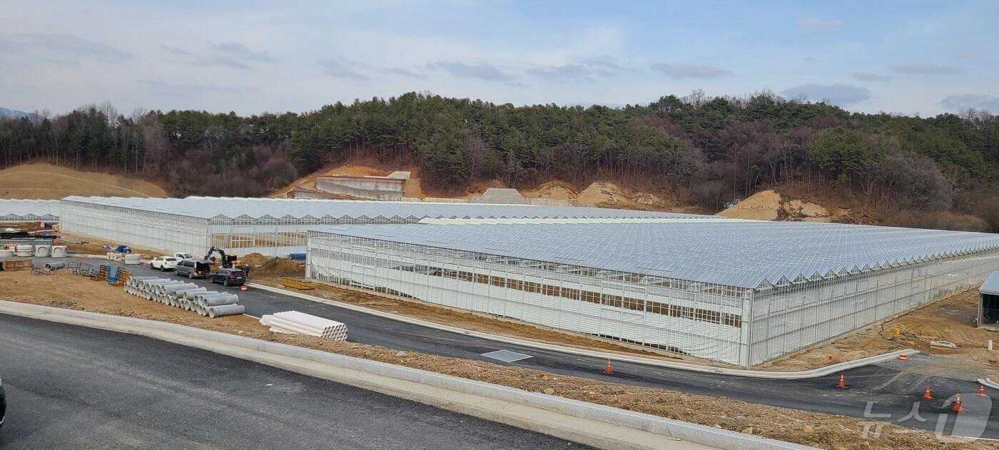 제천시 지역특화 임대형 스마트팜 &#40;충북도 제공&#41; /뉴스1 