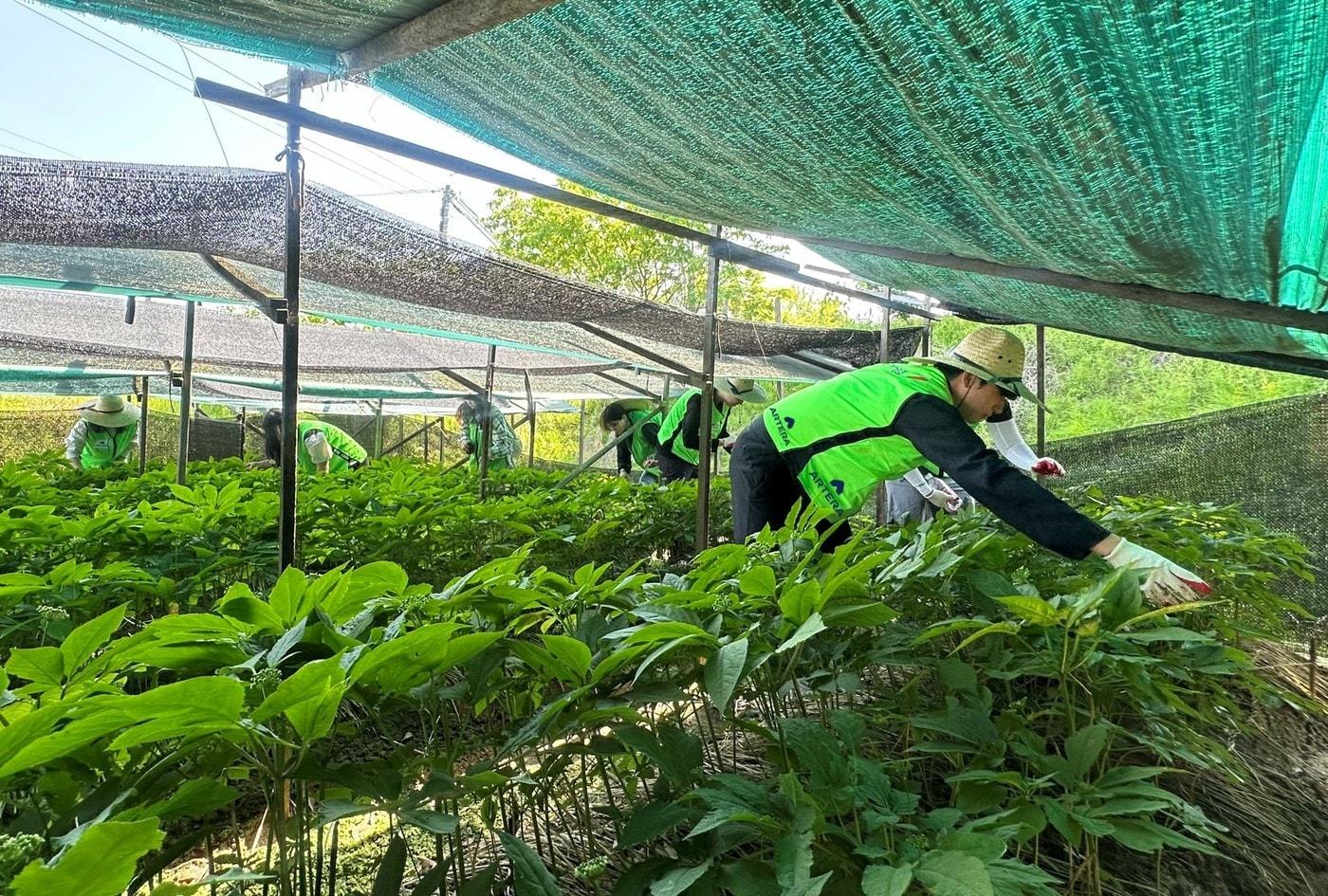 1사1촌 농촌 봉사활동&#40;금호건설&#41;.