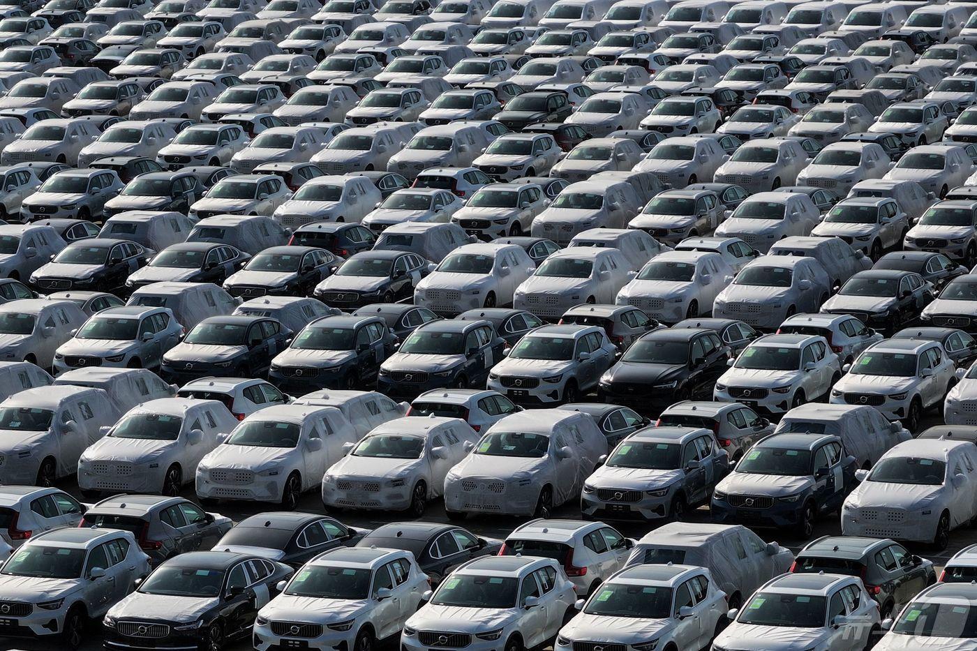 중국 장쑤성 난징항에서 선적을 기다리는 볼보 자동차들이 열지어 서있다. 스웨덴 브랜드인 볼보 자동차는 중국 길리 자동차의 자회사로 주로 중국 청두에서 생산된다. ⓒ AFP=뉴스1 ⓒ News1 윤석민 대기자