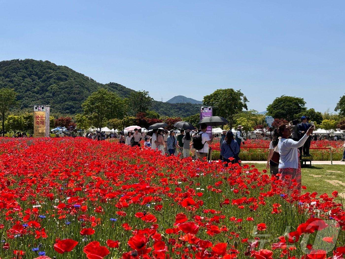 18일 낮 27도 무더위가 찾아온 울산 태화강 국가정원에서 봄꽃 축제가 열려 시민들의 발걸음이 이어지고 있다. 2024.5.18/뉴스1 ⓒ News1 김세은 기자