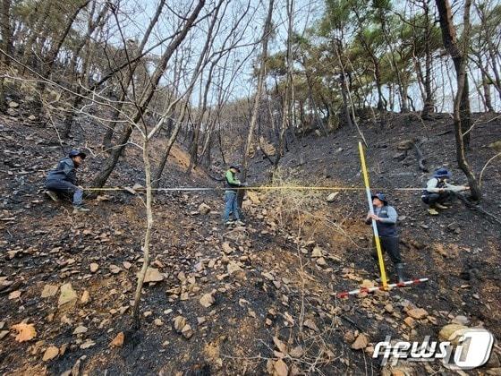 한국치산기술협회 산불피해지 복구조사 모습