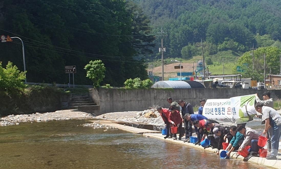 봉화군이 2일 소천면 현동천에 은어 치어 6만 미를 방류하고 있다.&#40;봉화군 제공&#41;2024.5.2/뉴스1