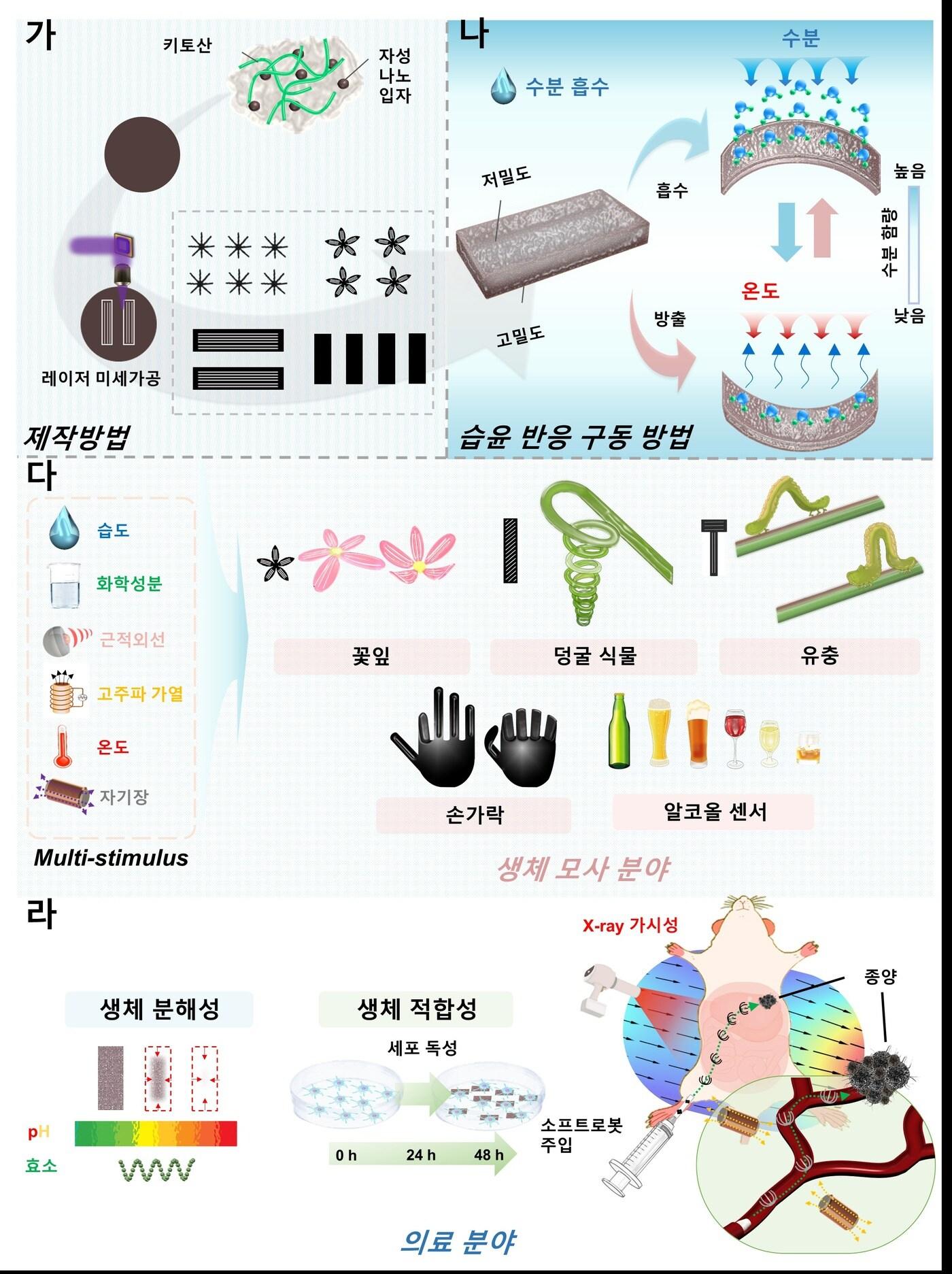 다기능 소프트 의료로봇 개념도.&#40;한국연구재단 제공&#41;/뉴스1